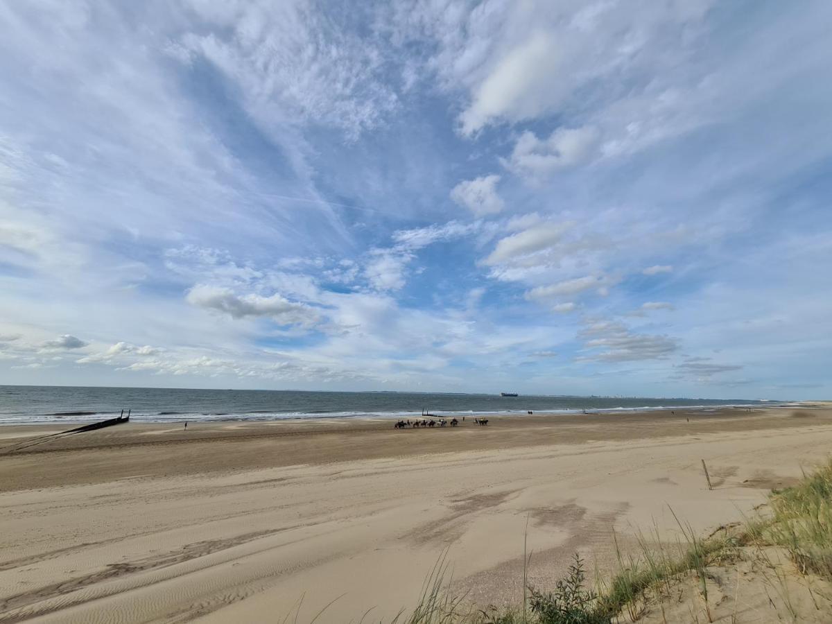 Kustverhuur, Park Schoneveld, Zeester 64 Breskens Bagian luar foto